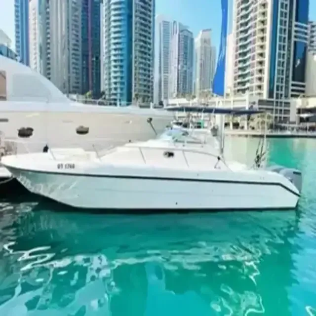 33ft Wave Dancer Boat Side View