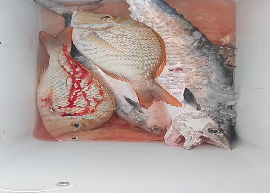 private fishing trip dubai 2